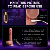 Rechargeable Thrusting Dildo with Heating and Remote — thumbnail 2 of 12
